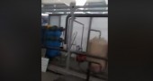 29.09.2019. Воскресенье. Работа в нашем цехе кипит.